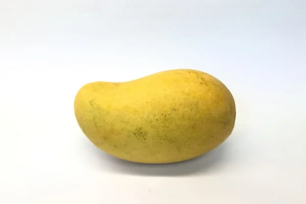 Mango de la variedad Kent
